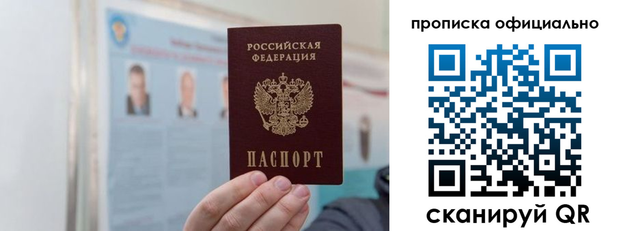 прописка гарантия в Дубовке